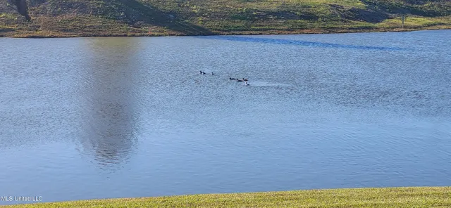 $364,900 | 156 Amethyst Drive, Brandon, MS 39047