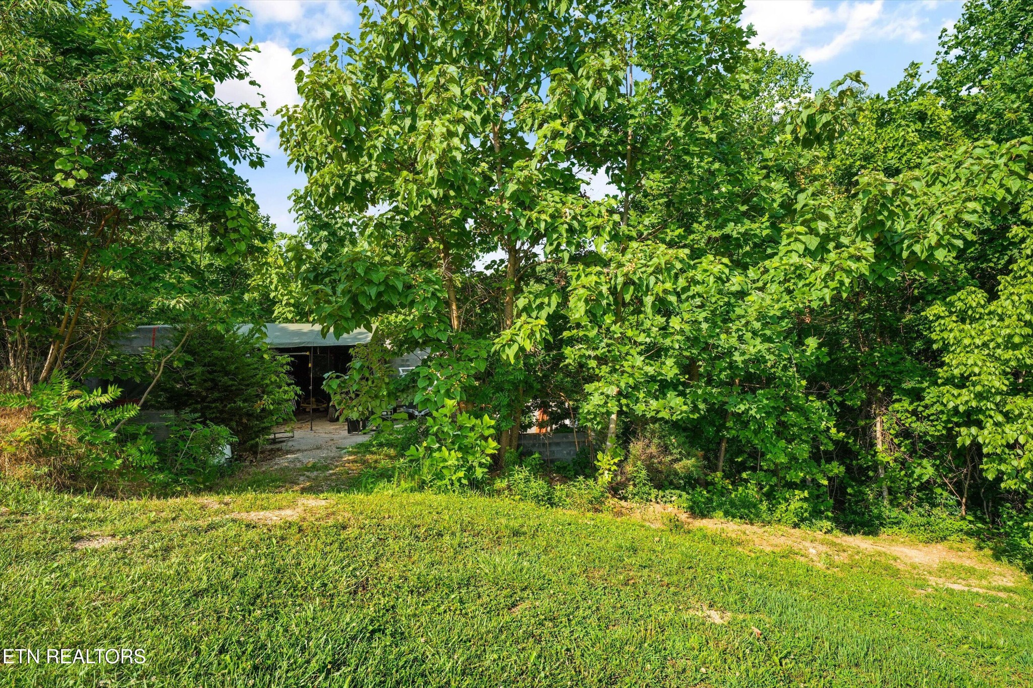834 Walker Road Sharps Chapel, TN 37866 - Photo 38 of 44 Gallery Image 38