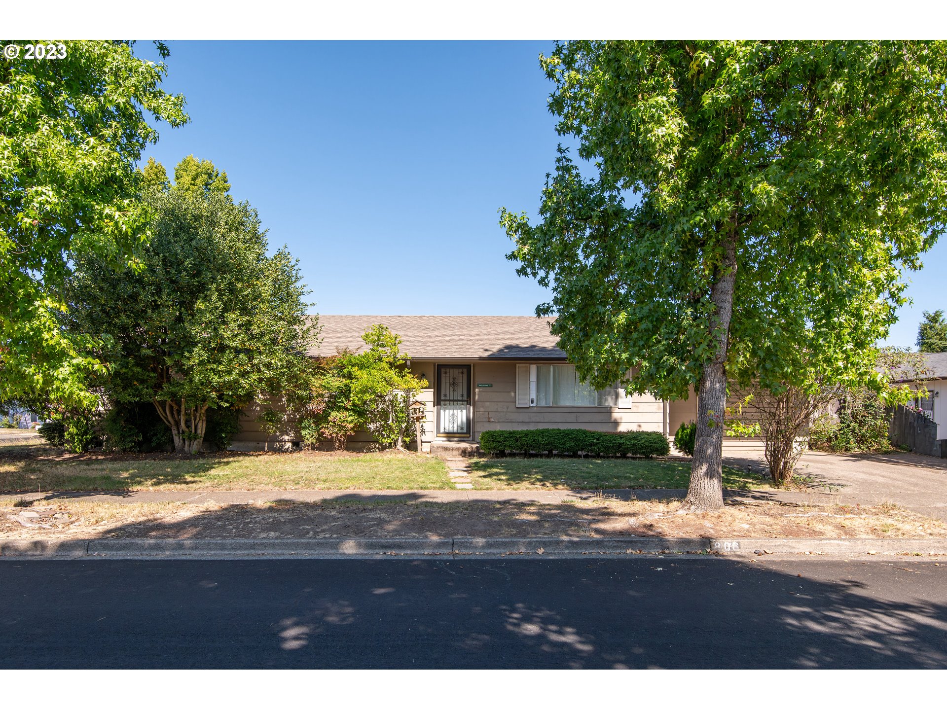 806 V Street Springfield, OR 97477 - Photo 4 of 14 a view of yard with large tree