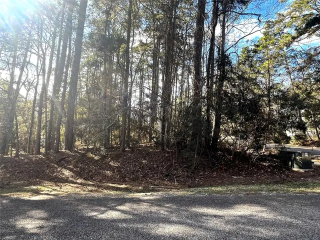 a view of a yard with large trees