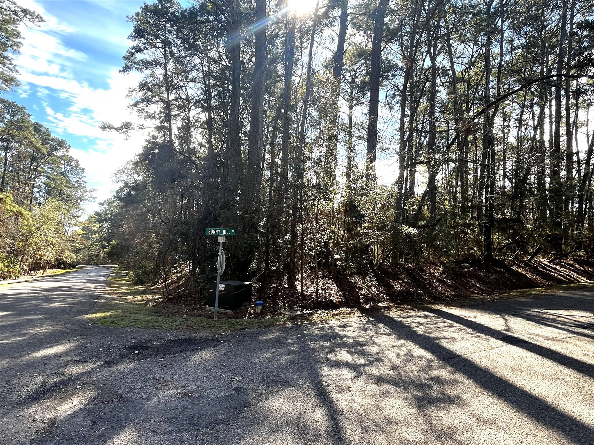 179 Green Tree Drive Coldspring, TX 77331 - Photo 3 of 15 a view of outdoor space with trees
