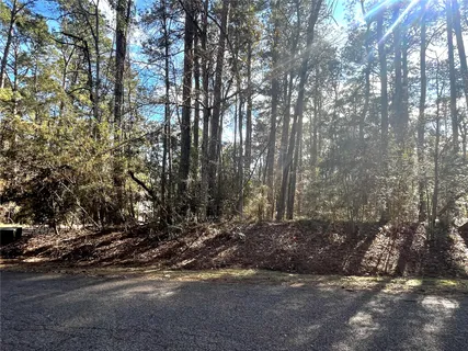 a view of outdoor space and trees