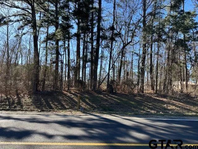 $187,407 | 17001 County Road 1261, Flint, TX 75762