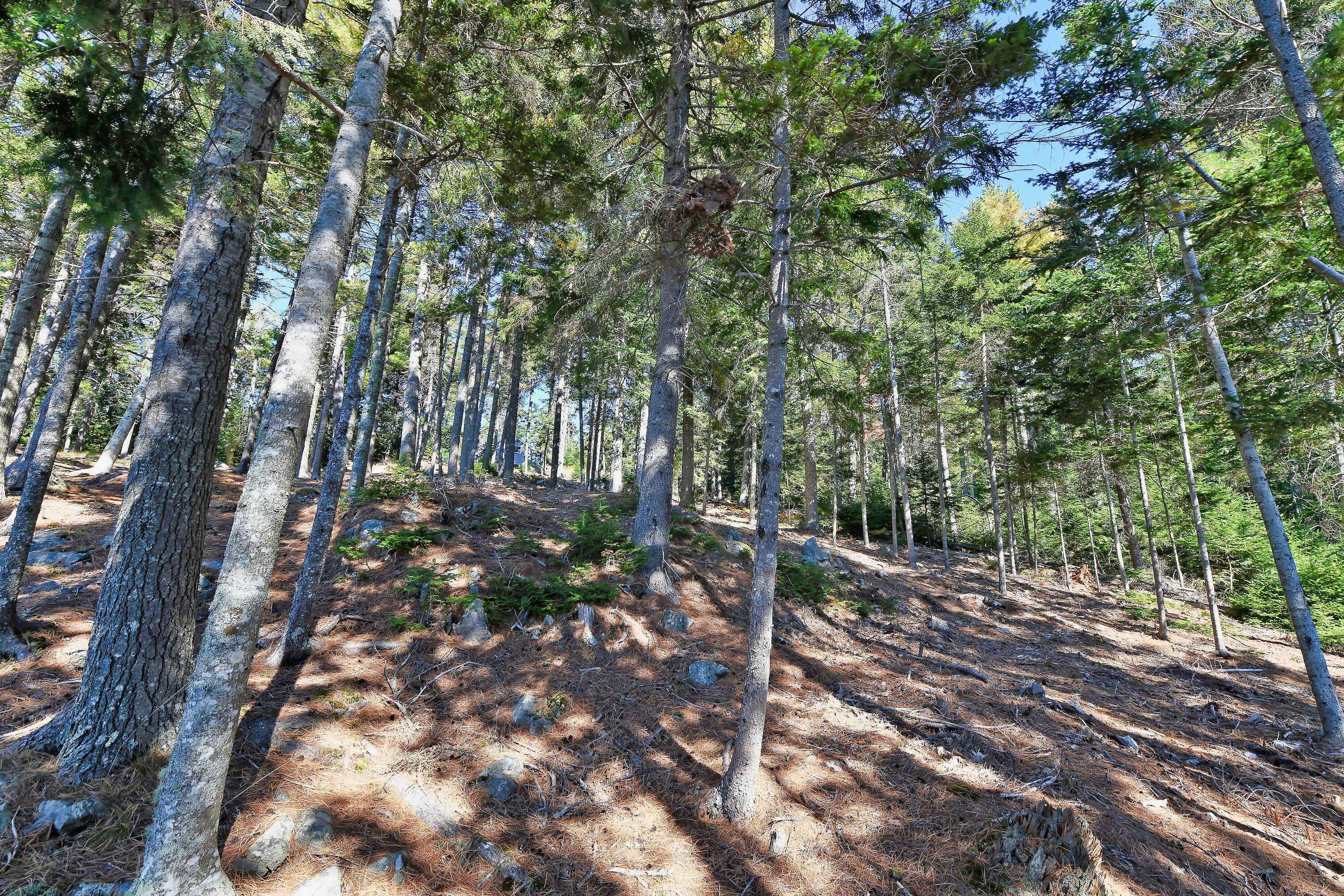 Lot 6 Sunset Road Brooksville, ME 04617 - Photo 7 of 35