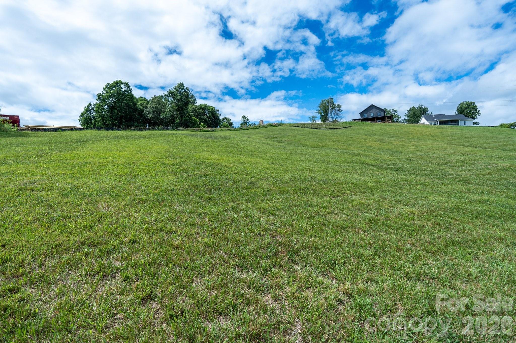 112 Grandview Road Alexander, NC 28701 - Photo 9 of 27