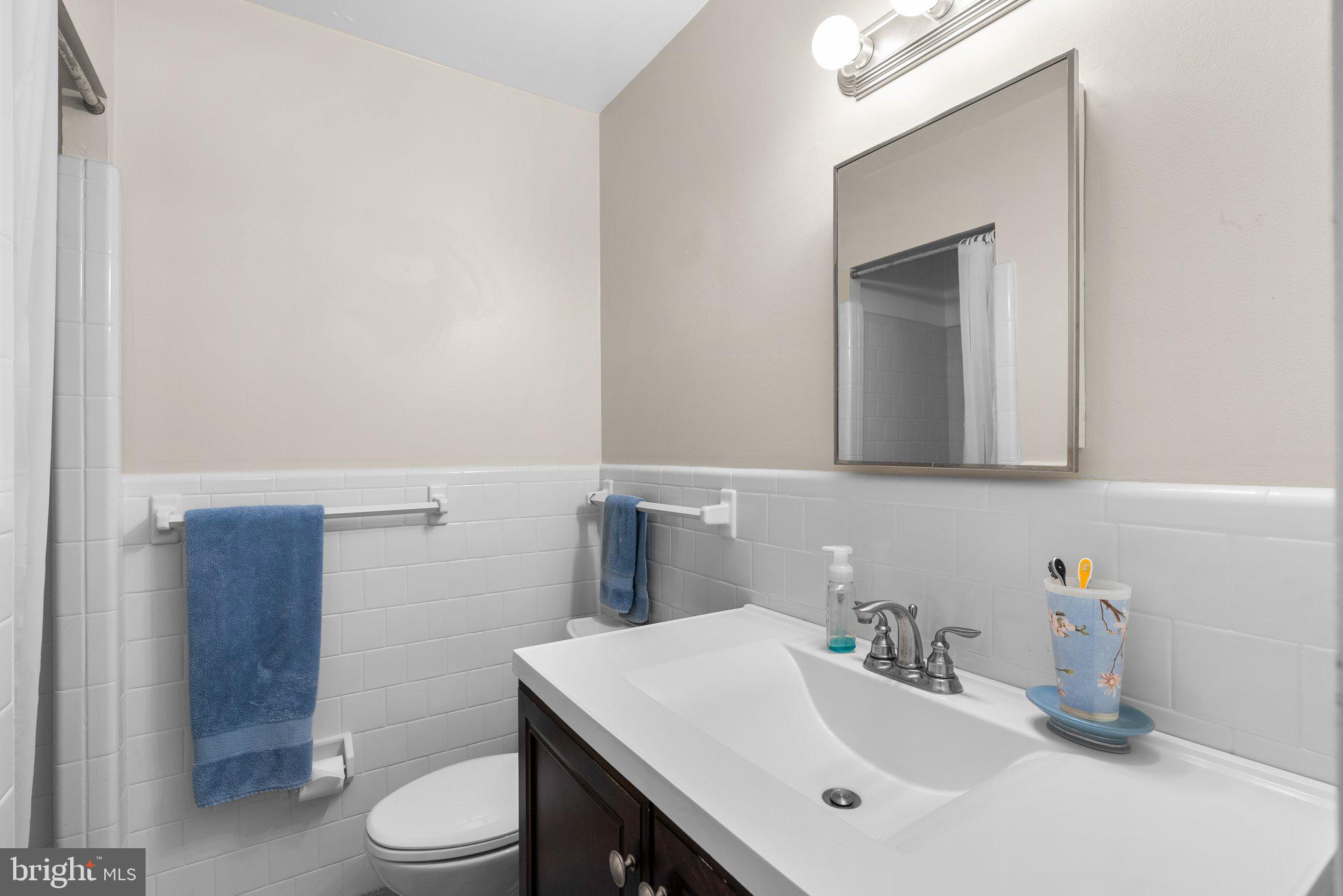 26811 Clarksburg Road Damascus, MD 20872 - Photo 21 of 46 Owner's full bath