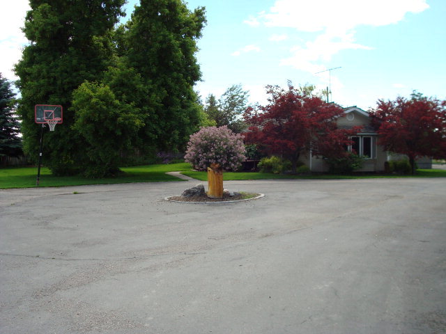 Main View