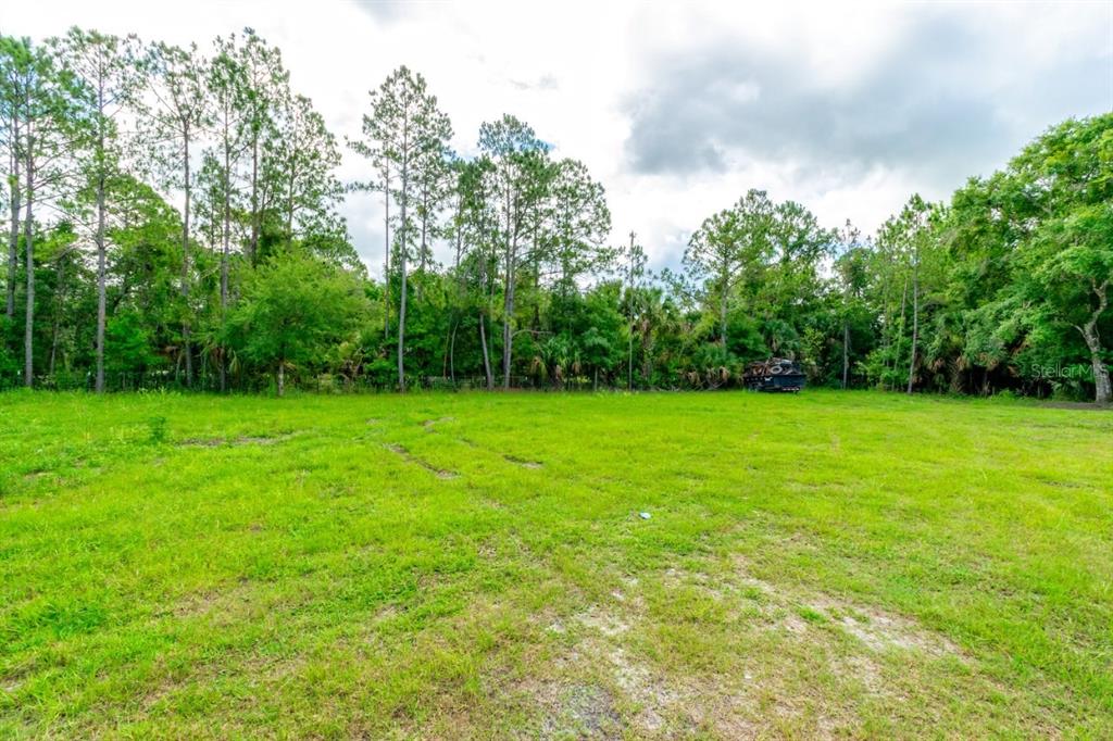 2241 Blue Fish Place Geneva, FL 32732 - Photo 10 of 10