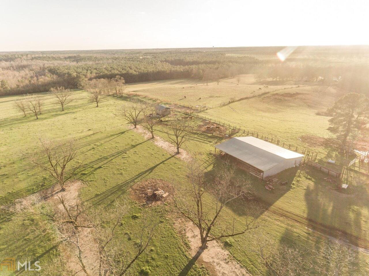 0 Buckeye Road Fort Valley, GA 31030 - Photo 1 of 1 Gallery Image 1