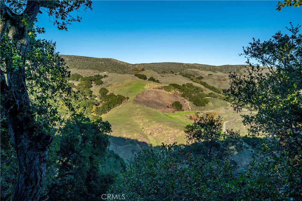 4411 See Canyon Road San Luis Obispo, CA 93405 - Photo 73 of 75 a view of a mountain range with trees in the background
