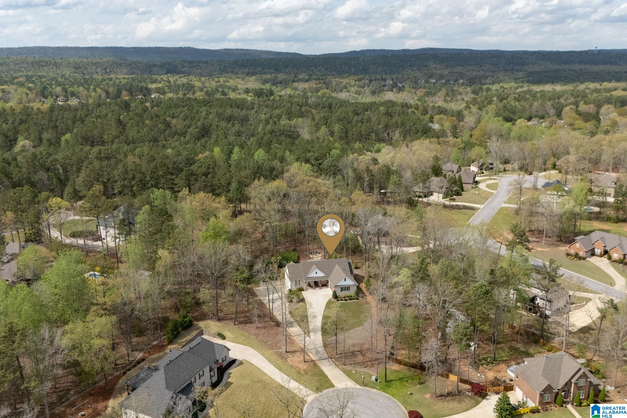441 South Highland Ridge Lane Chelsea, AL 35043 - Photo 74 of 74