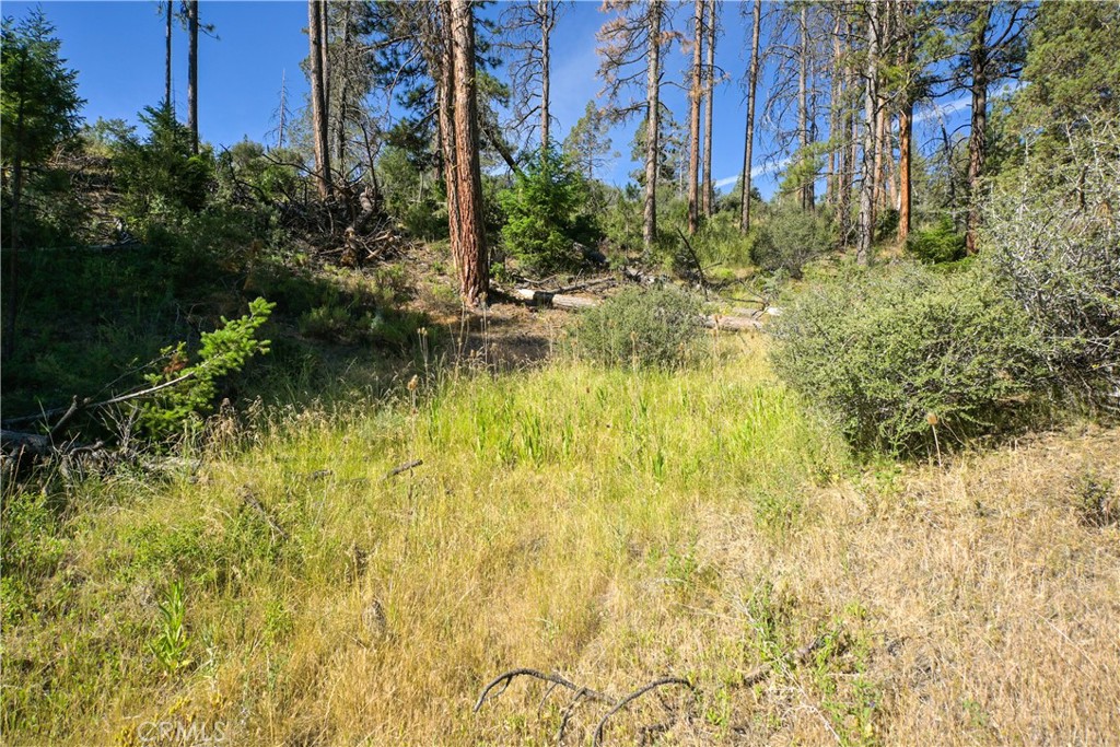 1 Duzel Creek Road Fort Jones, CA 96032 - Photo 1 of 38