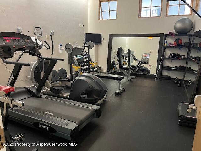 231 Robinson Street, Unit 338 Basalt, CO 81621 - Photo 15 of 17 a room with gym equipment and a large mirror