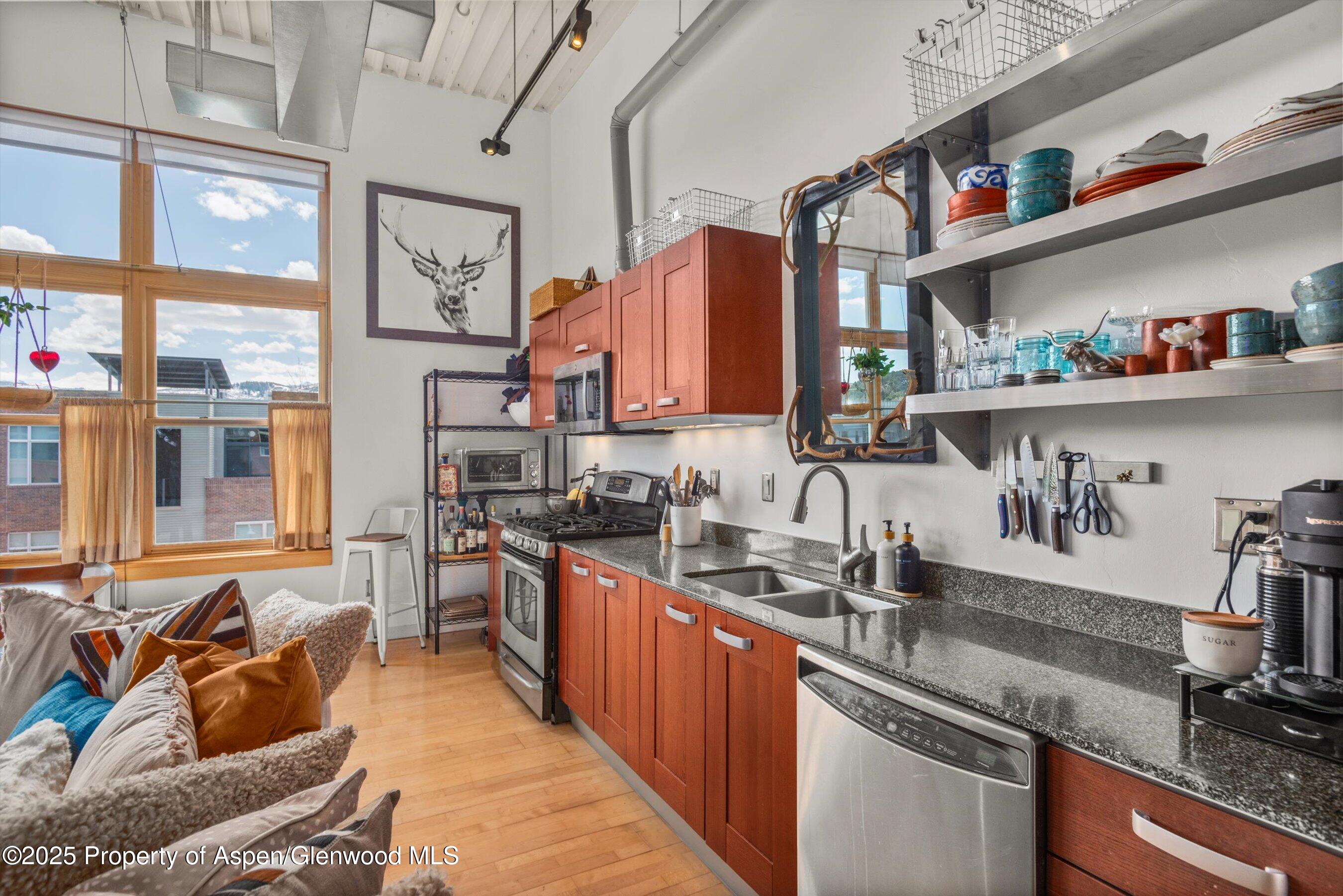 231 Robinson Street, Unit 338 Basalt, CO 81621 - Photo 8 of 17 a kitchen with stainless steel appliances granite countertop a sink and a counter space