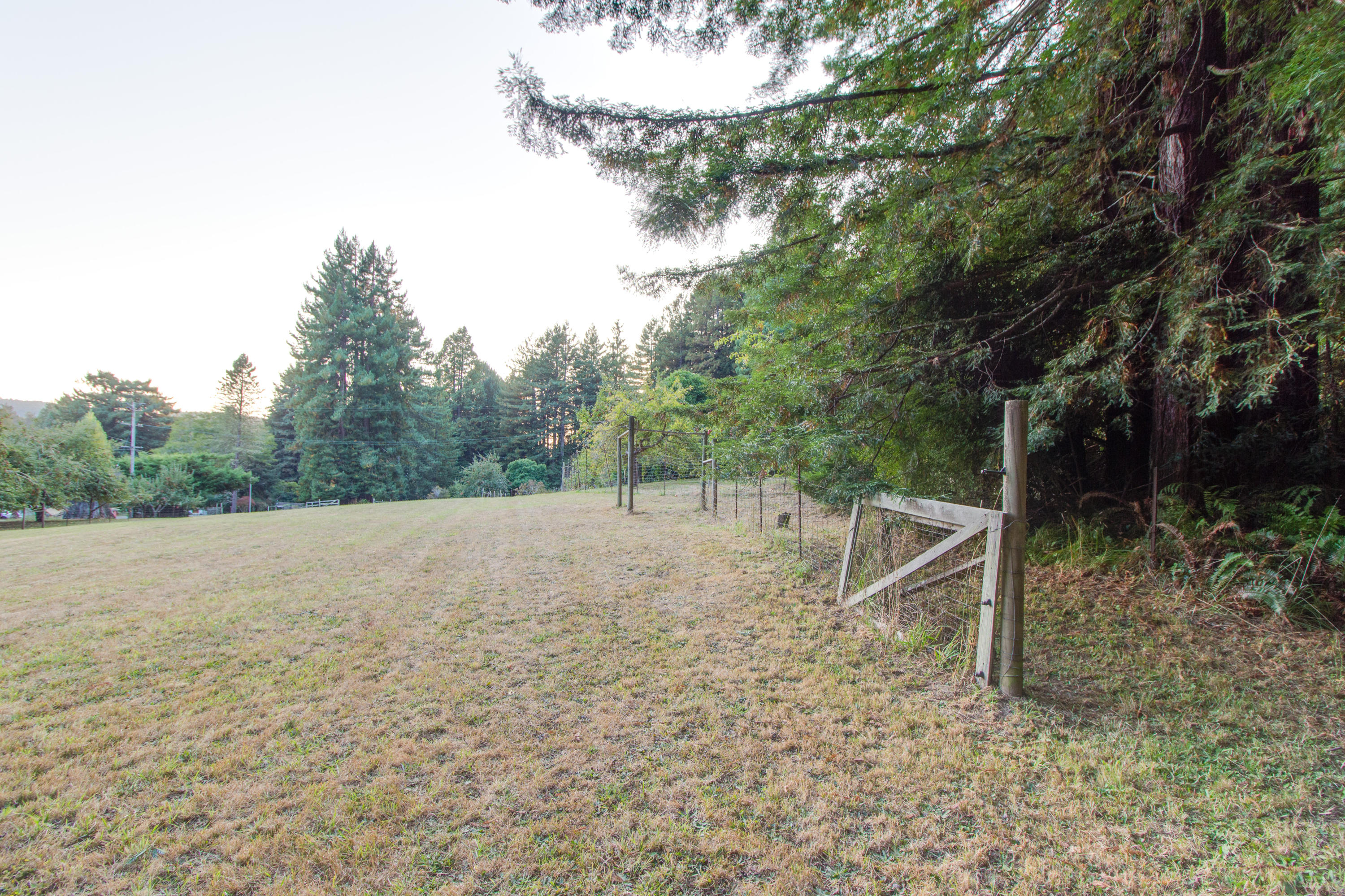 2479 Wrigley Road Eureka, CA 95503 - Photo 21 of 57 Pasture