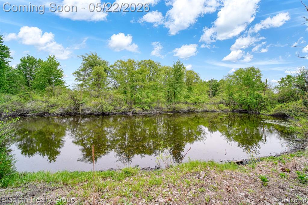 7001 Sweezy Lake Road Brooklyn, MI 49230 - Photo 51 of 63