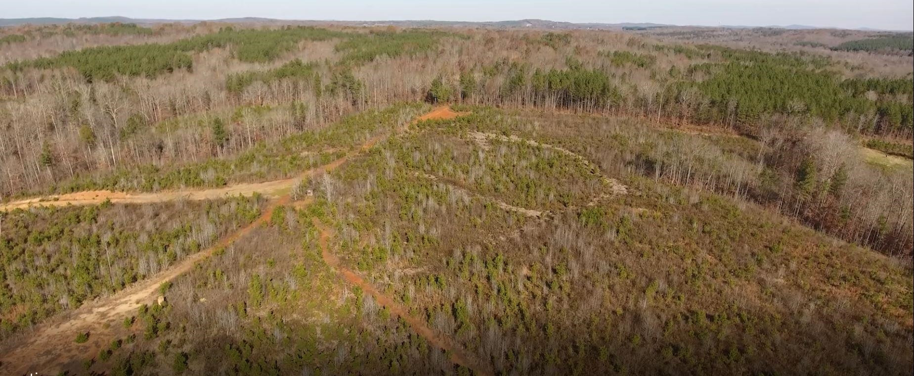 Tbd South Gravel Hill Road Ruffin, NC 27326 - Photo 6 of 7 Photo 6