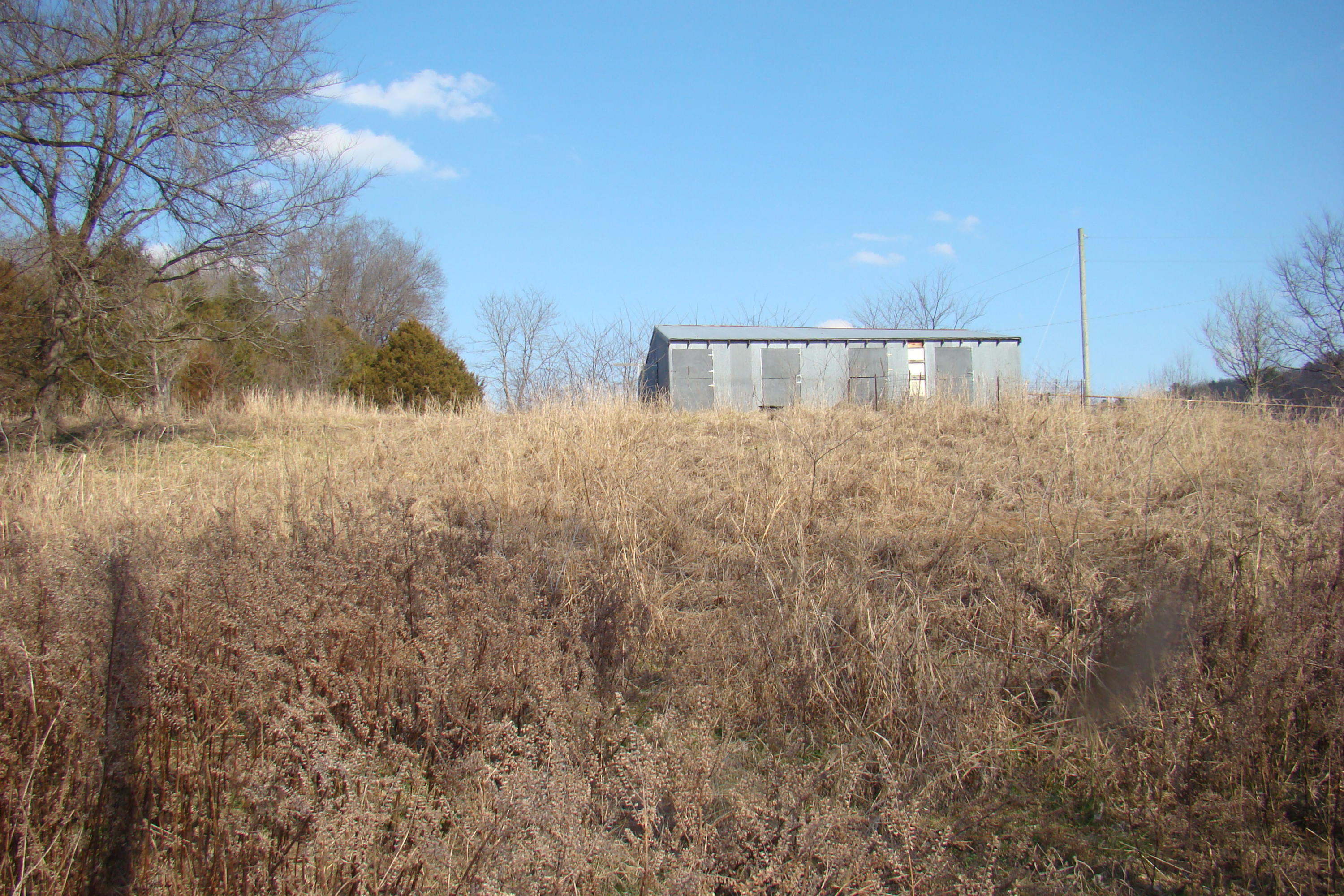 great barn and grass  -main