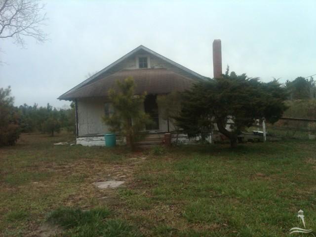 Primary Photo
