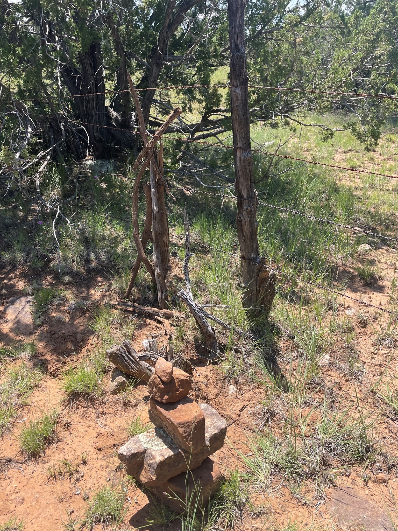 0 County Rd B29A Villanueva, NM 87583 - Photo 8 of 11