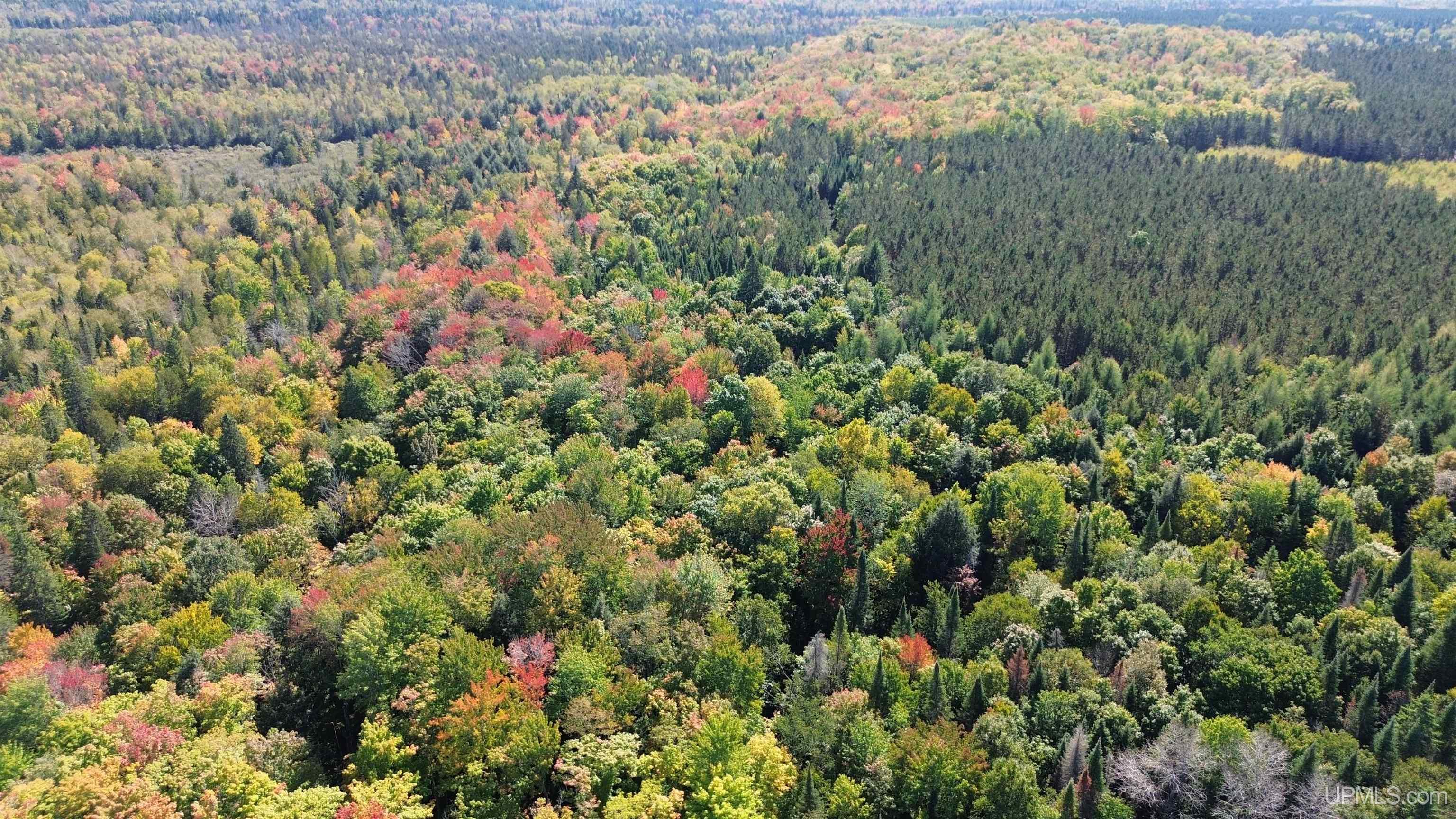 Off Usfs Trail, Unit 2440 Wetmore, MI 49895 - Photo 30 of 34