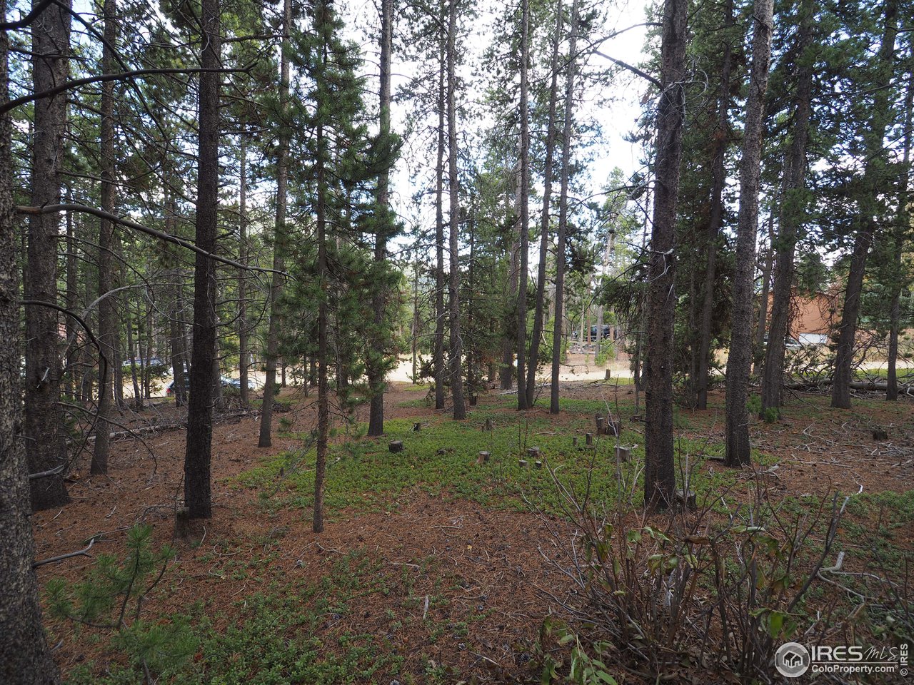 0 Athena Road Black Hawk, CO 80422 - Photo 3 of 8 Gallery Image 3