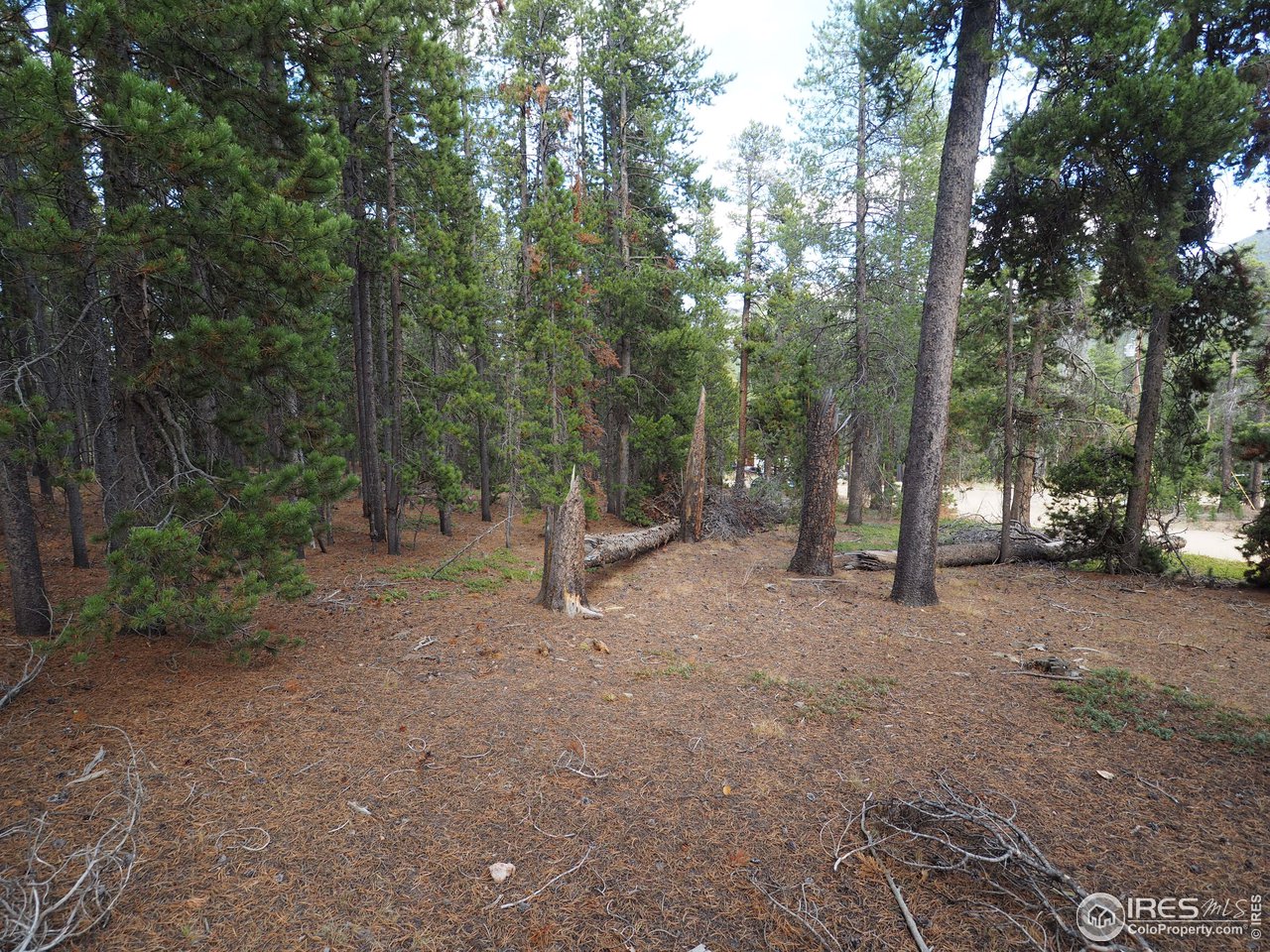 0 Athena Road Black Hawk, CO 80422 - Photo 4 of 8 Gallery Image 4