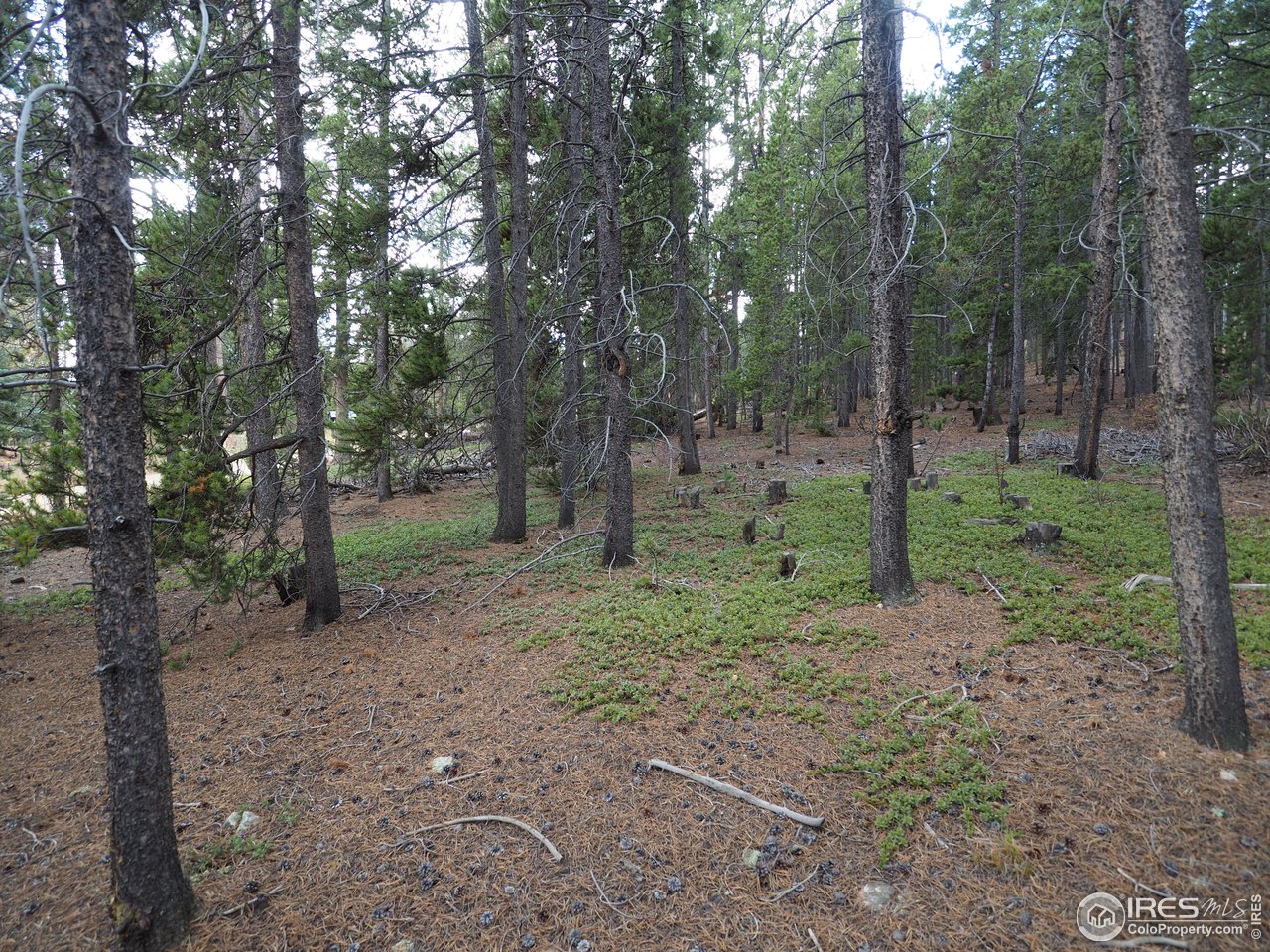 0 Athena Road Black Hawk, CO 80422 - Photo 5 of 8 Gallery Image 5