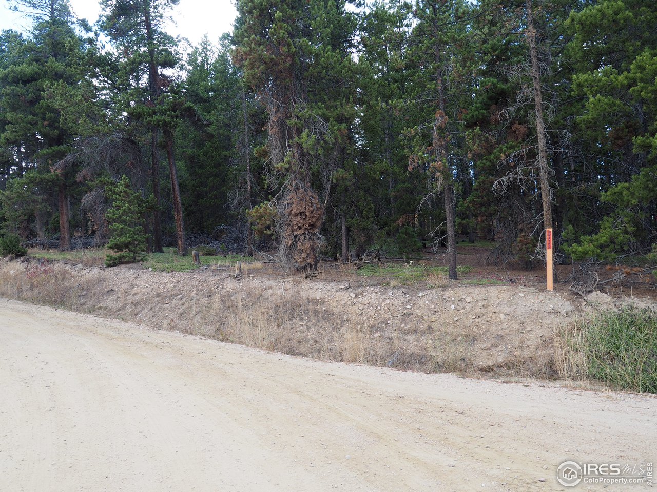0 Athena Road Black Hawk, CO 80422 - Photo 7 of 8 Gallery Image 7