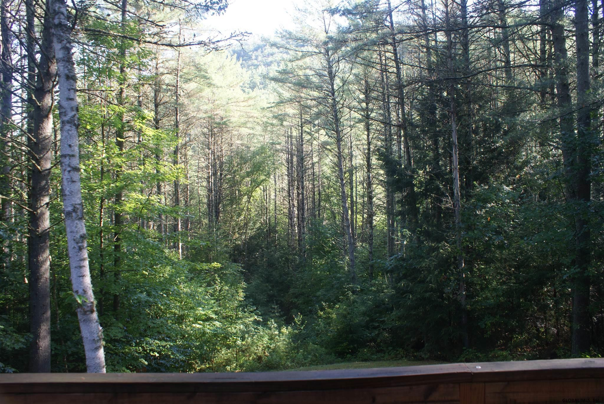 63 Woodridge Road Chester, NY 12817 - Photo 35 of 37 Backyard view from main level deck.