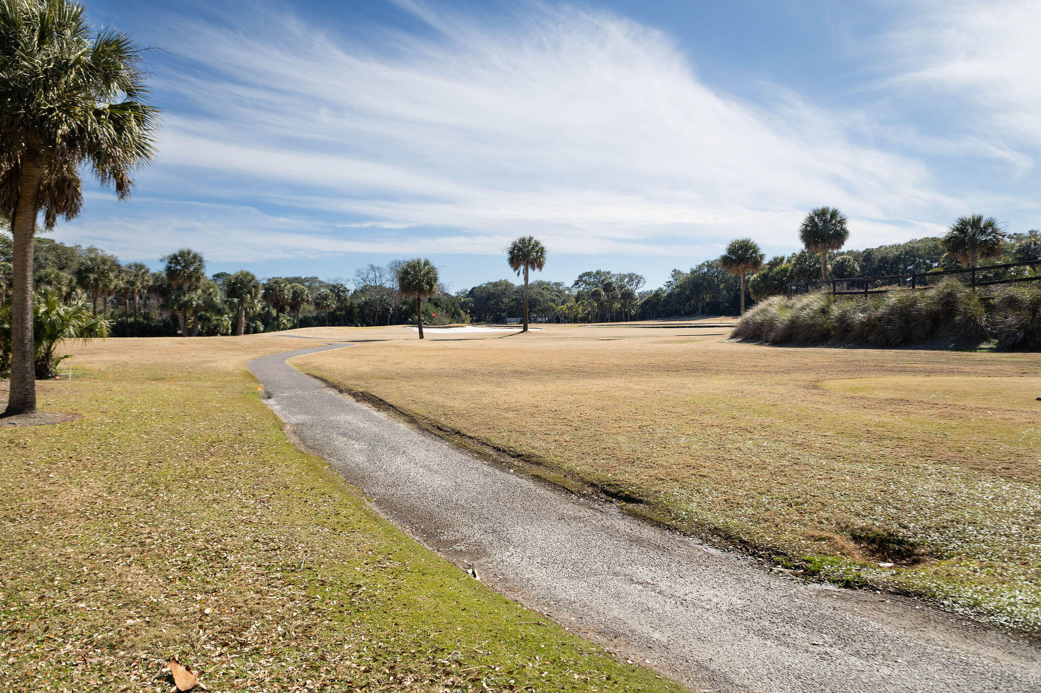 837 Club Cottage Road Edisto Island, SC 29438 - Photo 63 of 64 IMG_4282