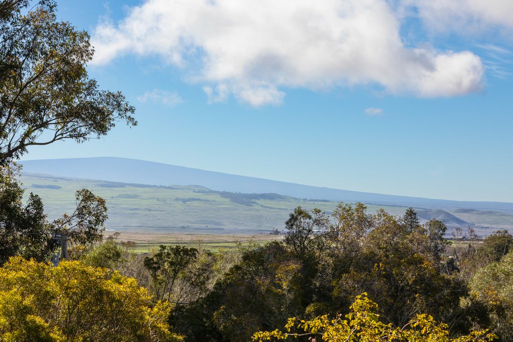 65-1132 Hokuula Road Kamuela, HI 96743 - Photo 21 of 25