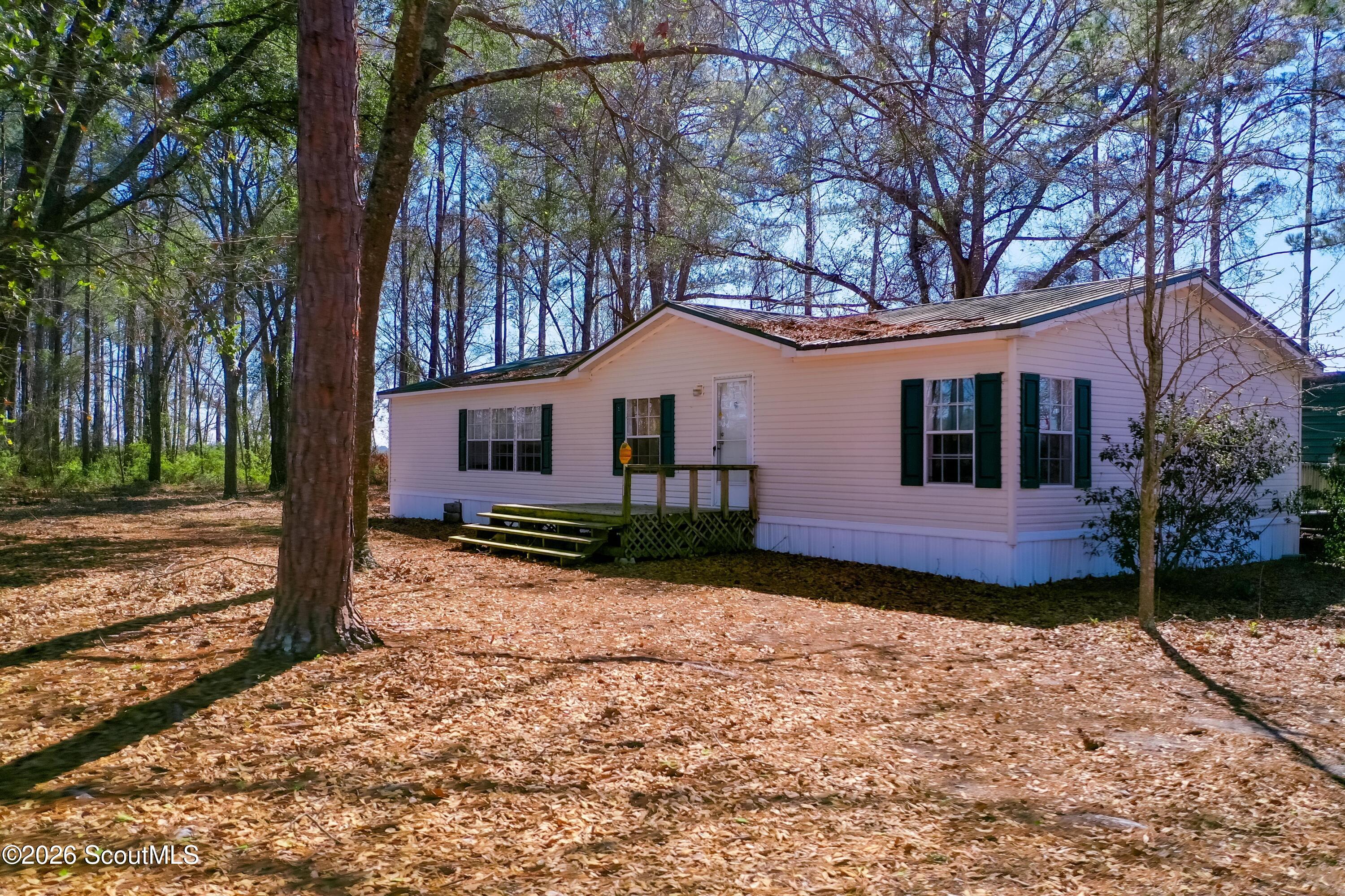 3259 West Horseshoe Road Blackshear, GA 31516 - Photo 1 of 36 001-1