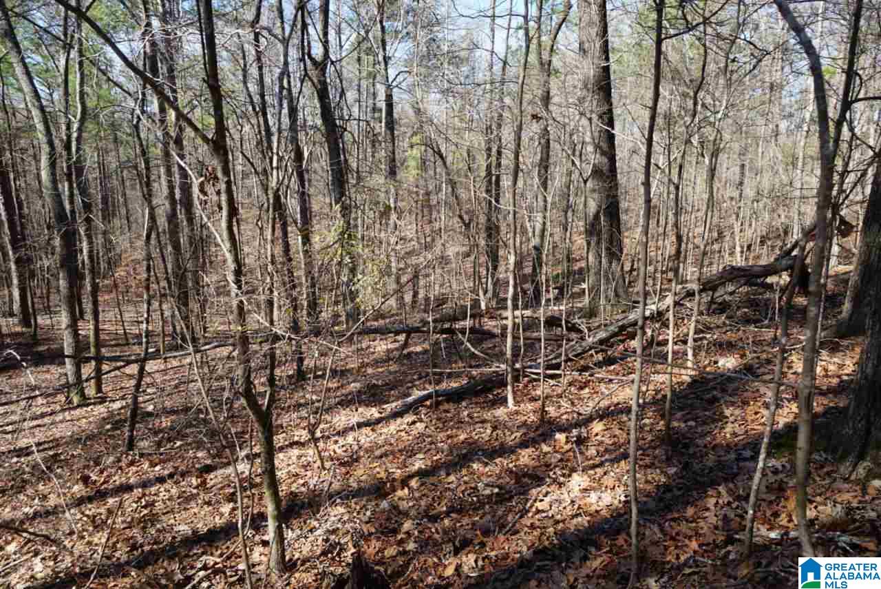 Mystic Valley View, Unit 1 Sterrett, AL 35147 - Photo 13 of 33