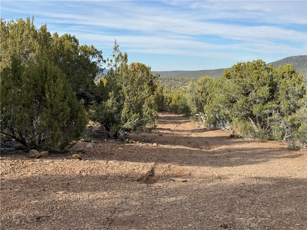 34745 West Running Shadow Road Seligman, AZ 86337 - Photo 7 of 52