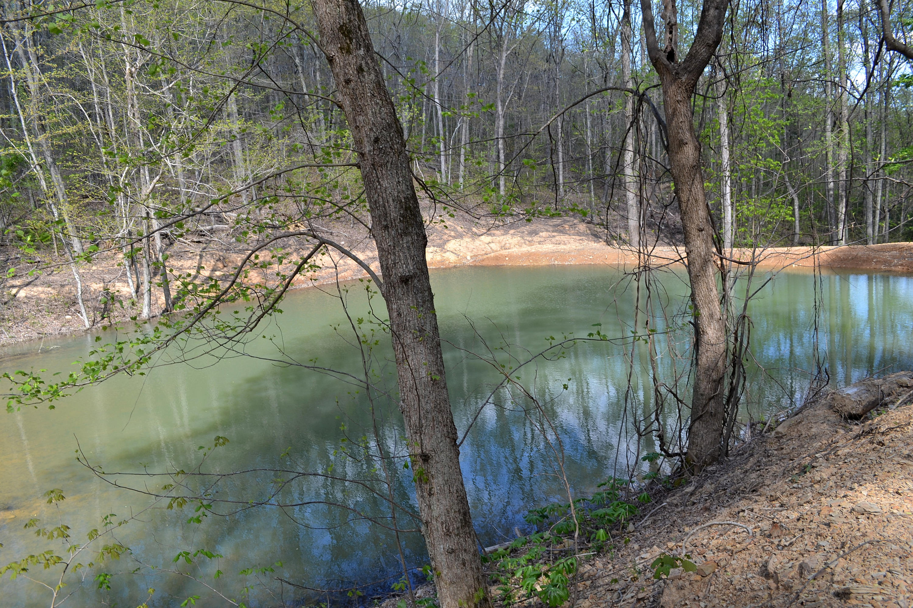 162 Jack Plank Road Spring City, TN 37381 - Photo 11 of 17 40