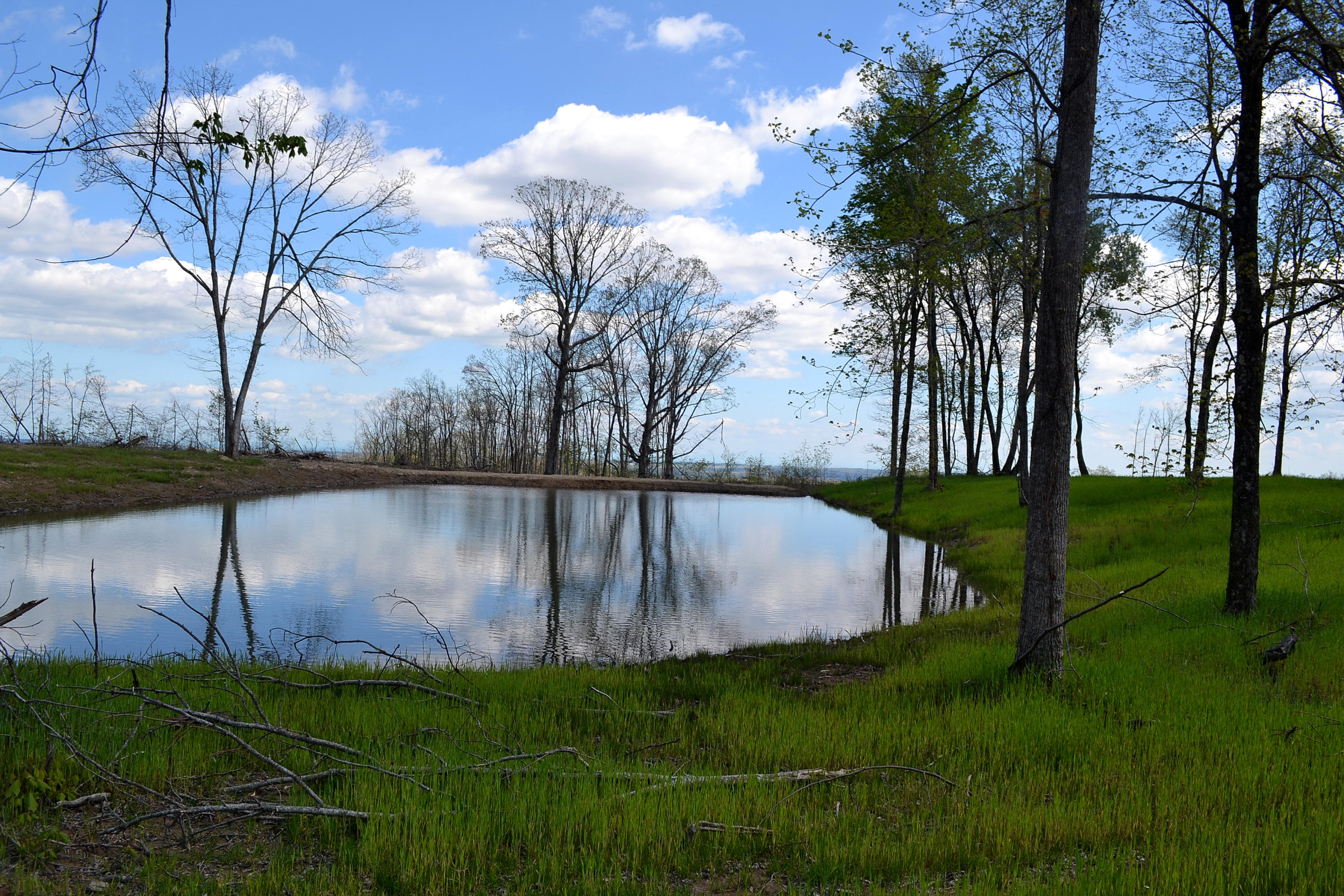 162 Jack Plank Road Spring City, TN 37381 - Photo 2 of 17 7