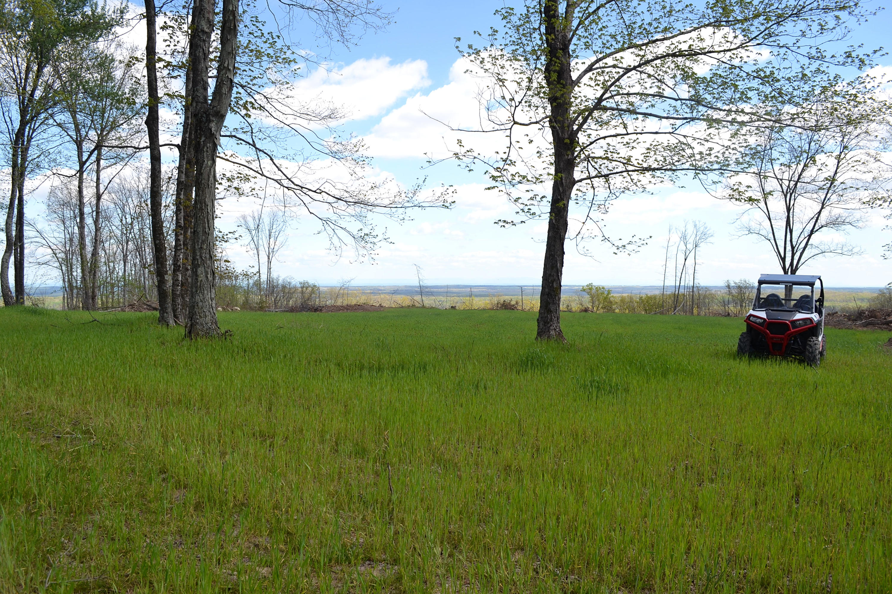 162 Jack Plank Road Spring City, TN 37381 - Photo 5 of 17 15
