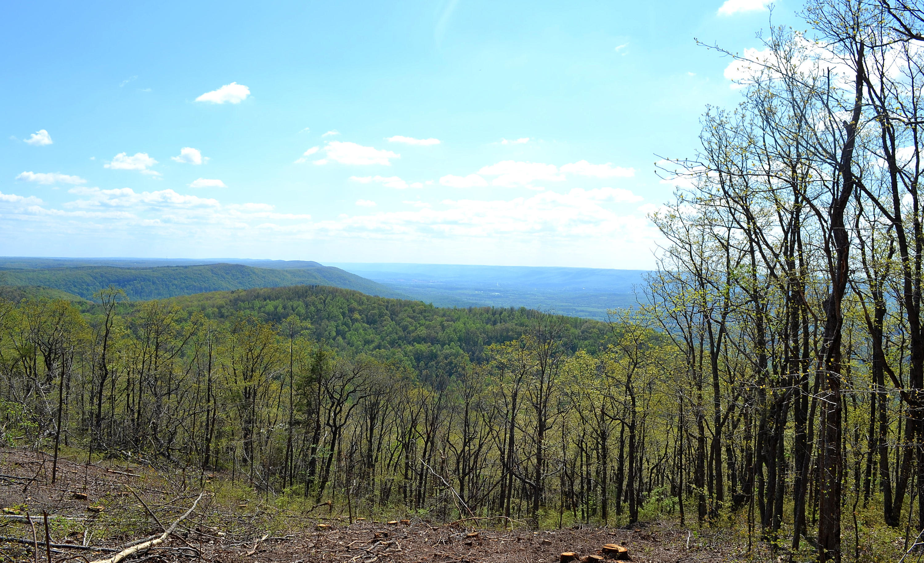 162 Jack Plank Road Spring City, TN 37381 - Photo 8 of 17 22