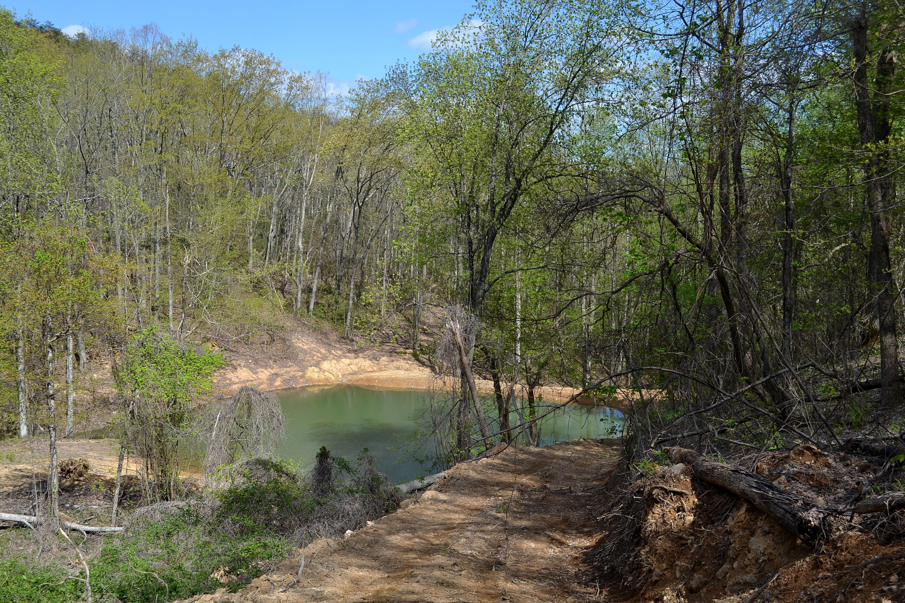 162 Jack Plank Road Spring City, TN 37381 - Photo 9 of 17 37