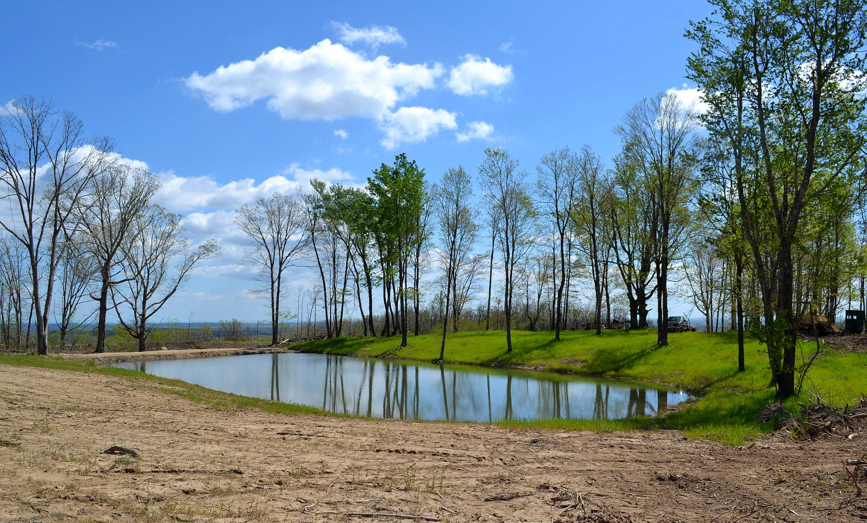 162 Jack Plank Road Spring City, TN 37381 - Photo 10 of 17 4