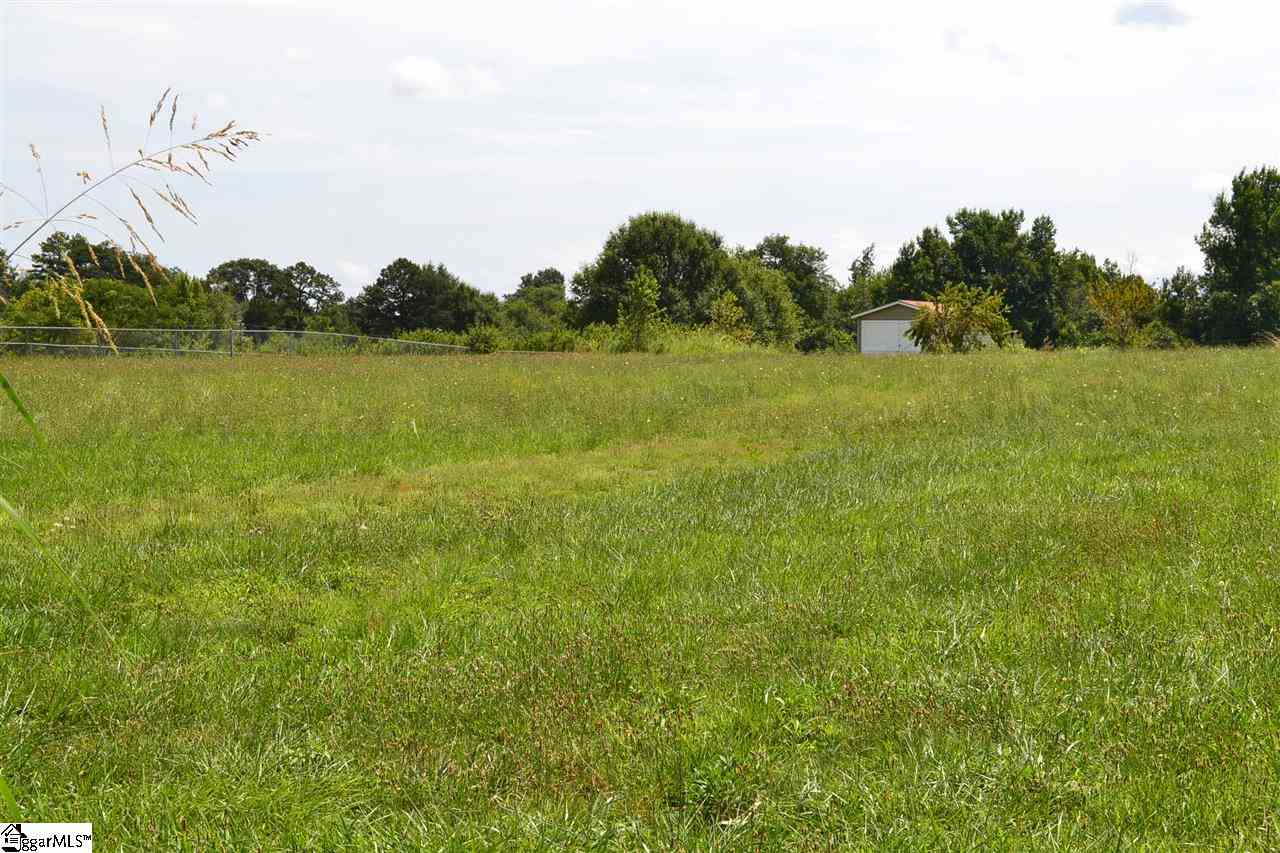 0 Mill Gin Road Campobello, SC 29322 - Photo 1 of 1