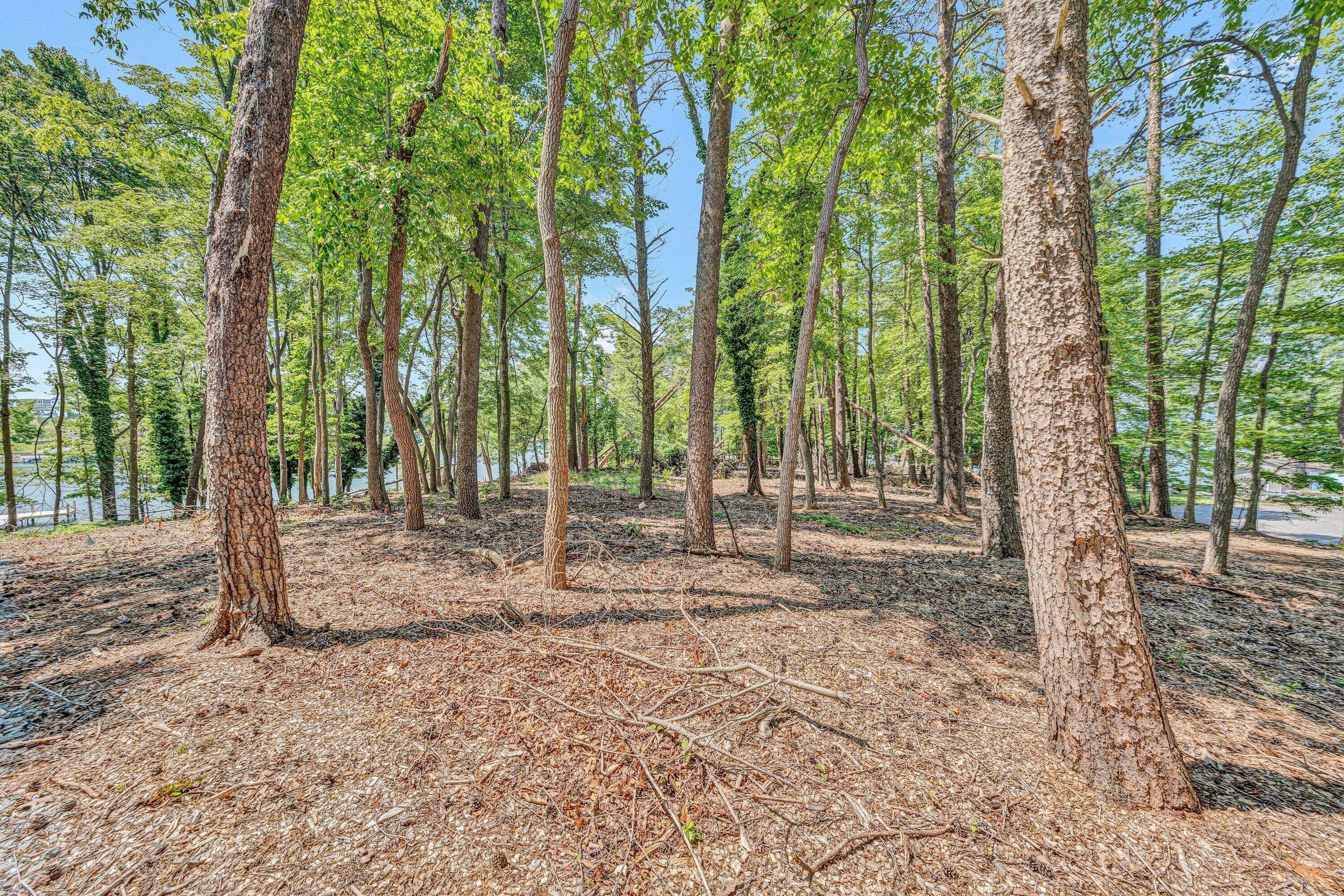 Lot 3 Sigh N Pine Road Huddleston, VA 24104 - Photo 13 of 23 a backyard of a house with large trees and wooden fence