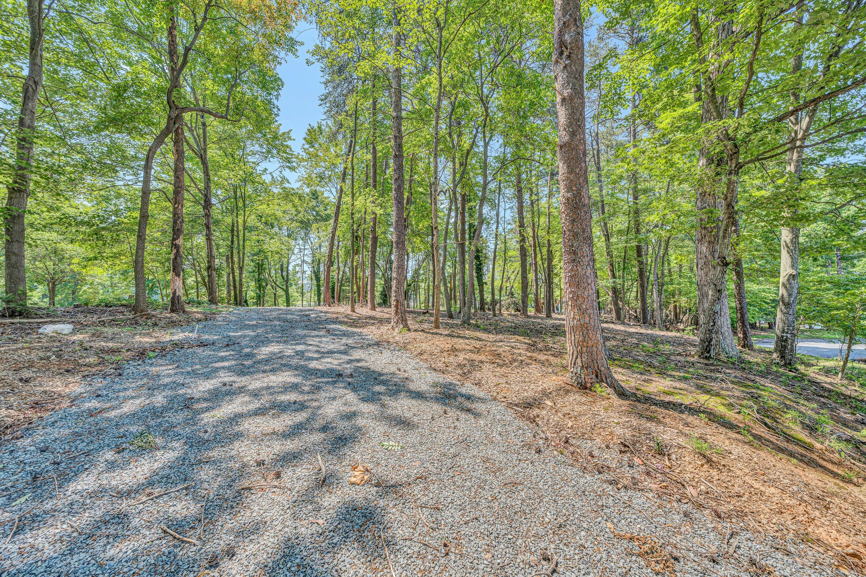 Lot 3 Sigh N Pine Road Huddleston, VA 24104 - Photo 15 of 23 a view of outdoor space with trees