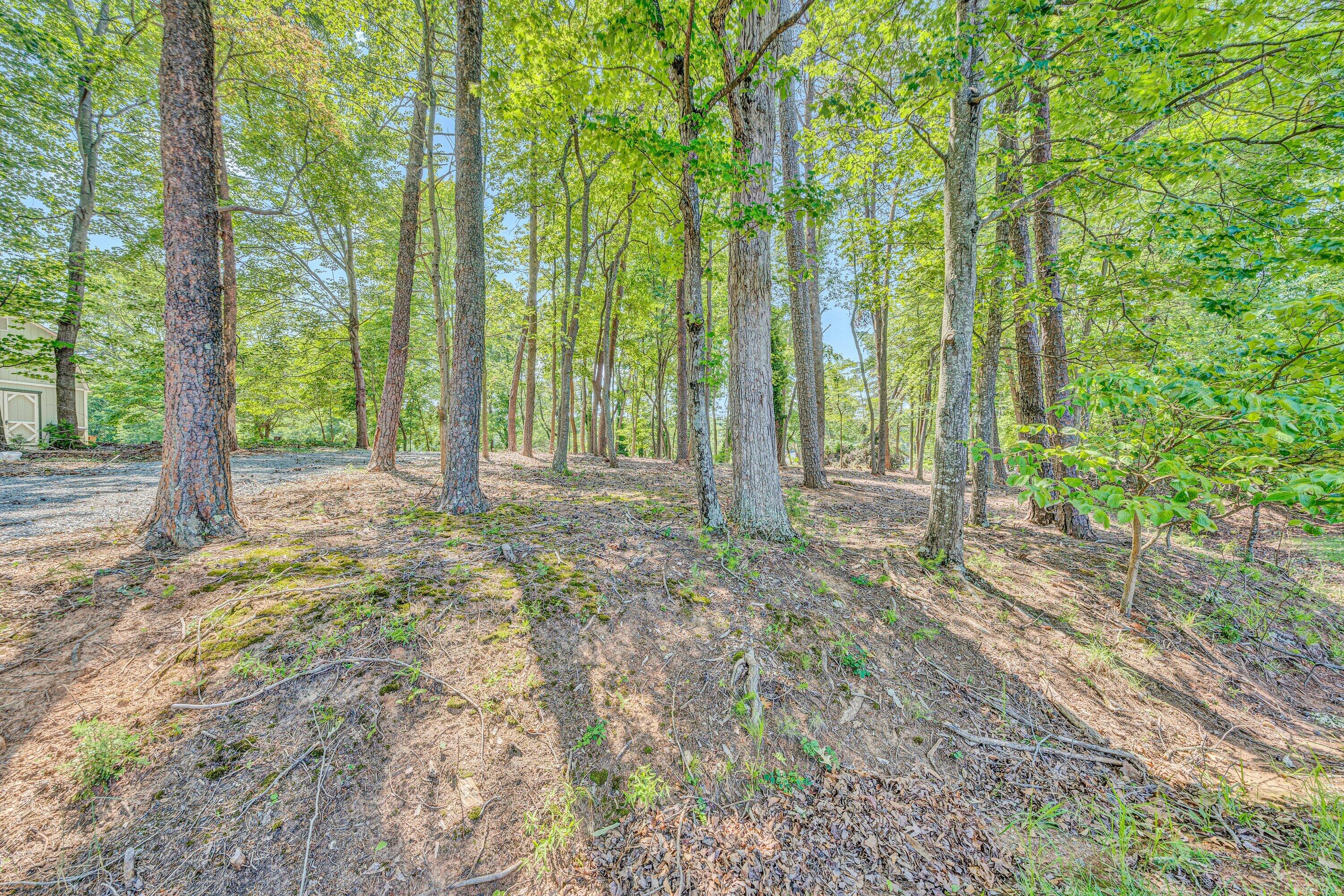 Lot 3 Sigh N Pine Road Huddleston, VA 24104 - Photo 5 of 23 a view of outdoor space with trees