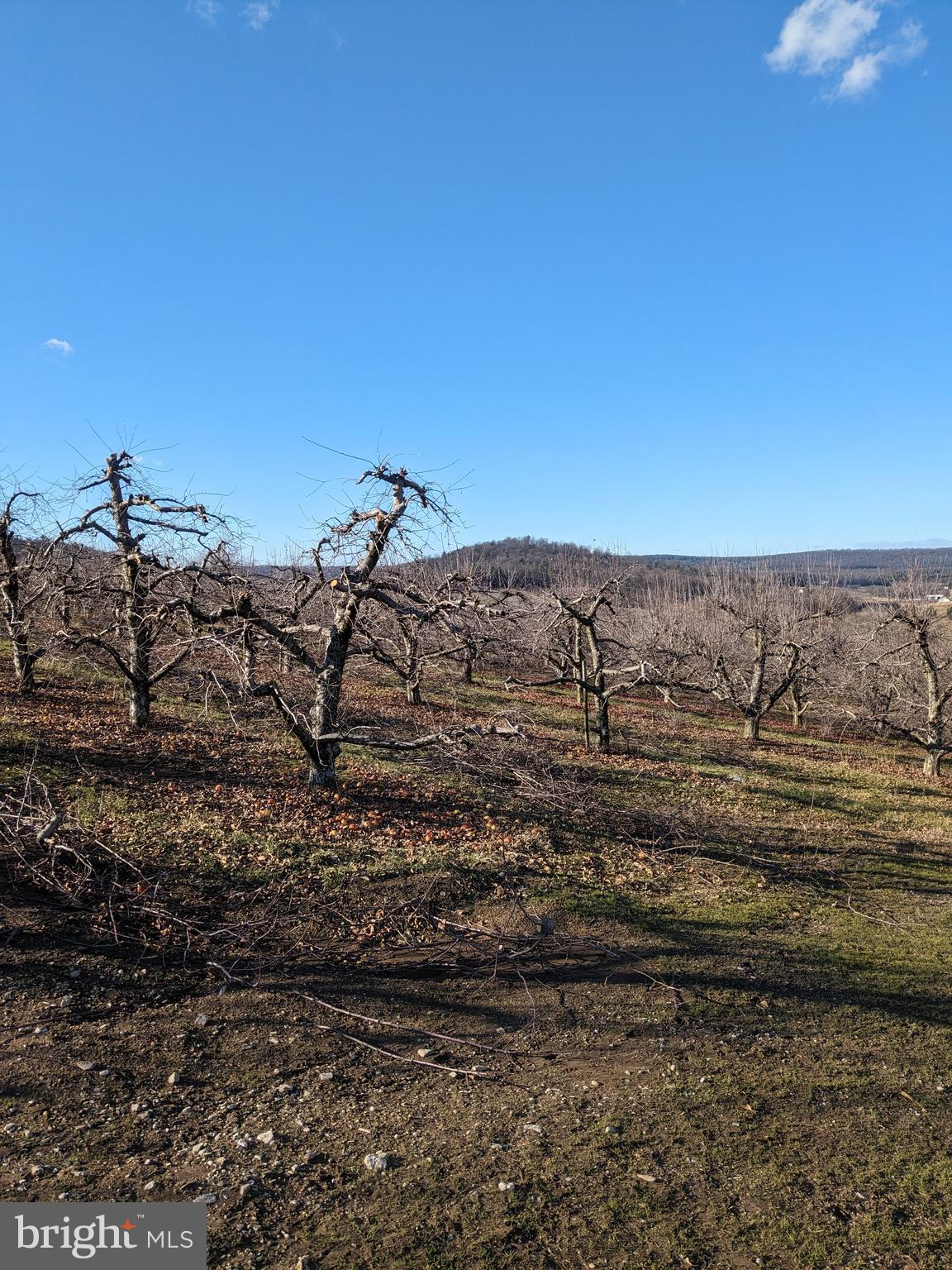 0 Mt Tabor & Quarry Road Aspers, PA 17304 - Photo 4 of 10