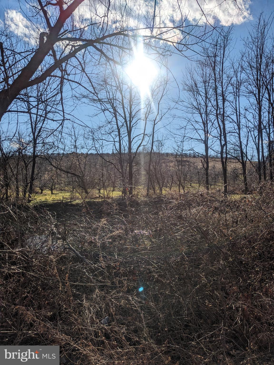 0 Mt Tabor & Quarry Road Aspers, PA 17304 - Photo 6 of 10