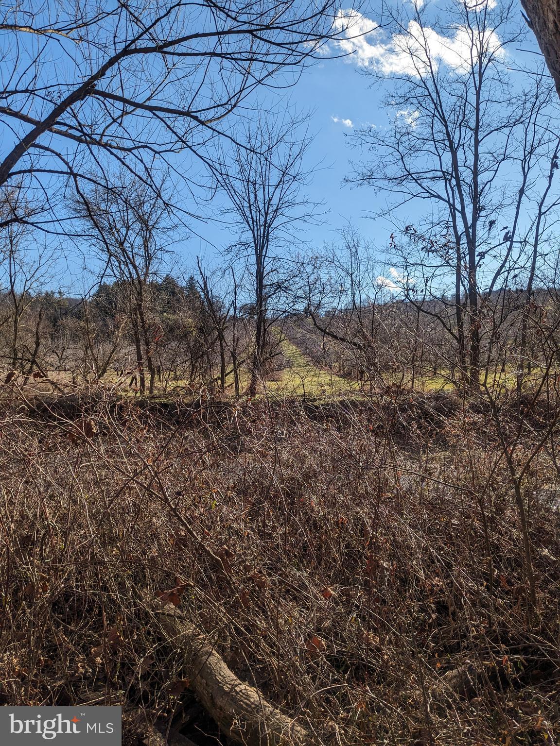 0 Mt Tabor & Quarry Road Aspers, PA 17304 - Photo 7 of 10