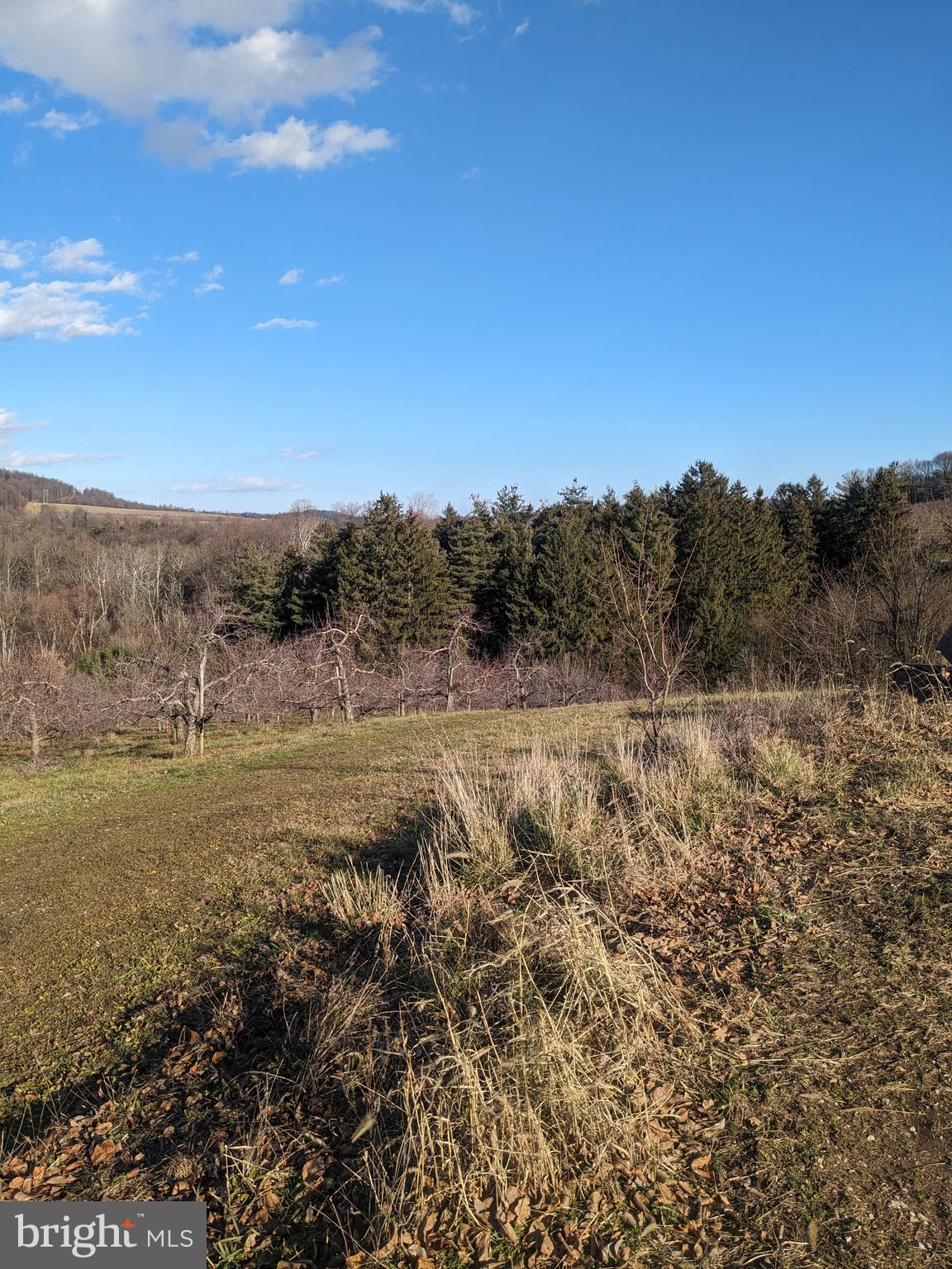 0 Mt Tabor & Quarry Road Aspers, PA 17304 - Photo 10 of 10