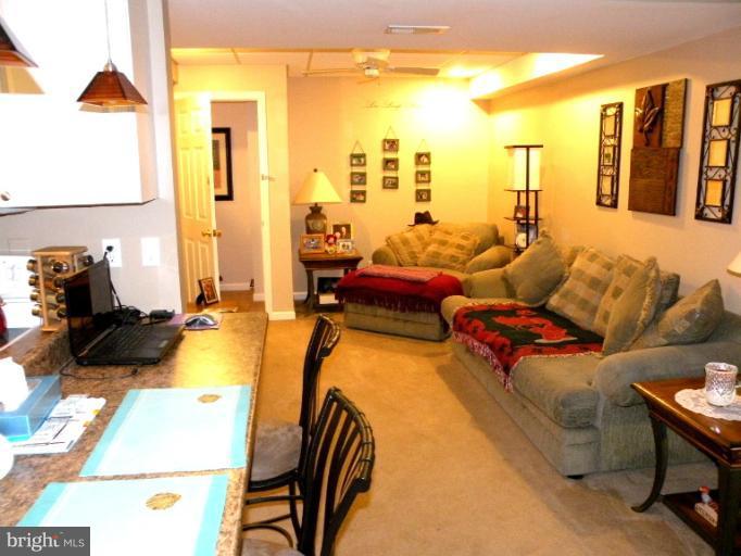 220 Fiddlers Hill Road Edgewater, MD 21037 - Photo 20 of 25 Basement
